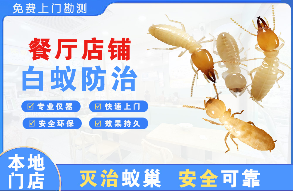顺德餐厅店铺白蚁防治